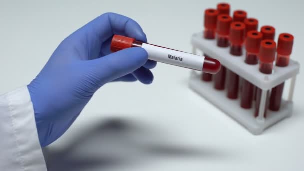 Malaria test, doctor showing blood sample in tube, lab research, health checkup - Felvétel, videó