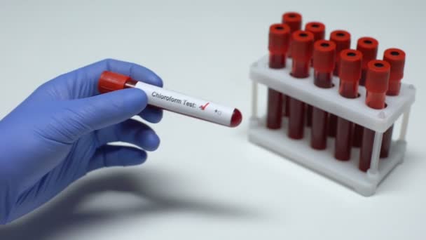Negative Chloroform test, doctor showing blood sample in tube, health checkup - Filmati, video