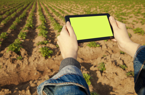 Mezőgazdasági technológia farmer személy segítségével a tábla-PC - Fotó, kép