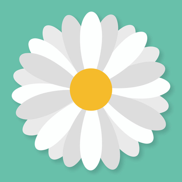Daisy flower in vlakke stijl. Eenvoudige vectorillustratie - Vector, afbeelding
