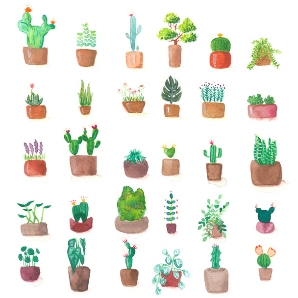 small cute green cactus plant pot set watercolor paint illustration art. - Photo, Image
