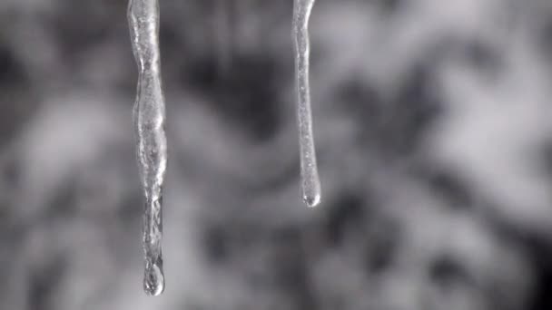 twee glanzende ijspegels smelten in zware sneeuwval - Video