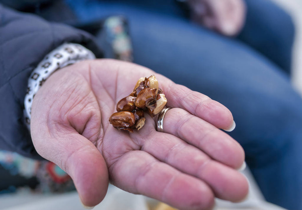 almond brittle on top a woman hand - Photo, Image