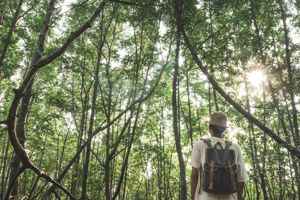 Un homme debout parmi la forêt de mangroves avec sac à dos Voyage Lifestyle wanderlust aventure concept vacances d'été en plein air seul dans la nature, Phang Nga, Koh Yao Yai, Thaïlande
 - Photo, image