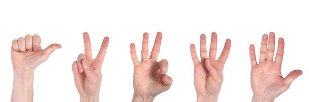 Мужские руки подсчитывают от одного до пяти изолированных на белой спине
 - Фото, изображение