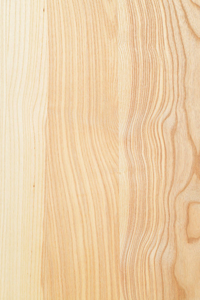 Un fragmento de un panel de madera de frondosas. Ceniza
. - Foto, imagen