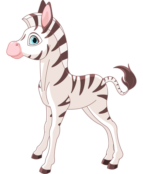 Zebra Foal - Wektor, obraz