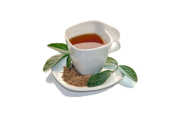 Cup of green tea isolated - Fotoğraf, Görsel