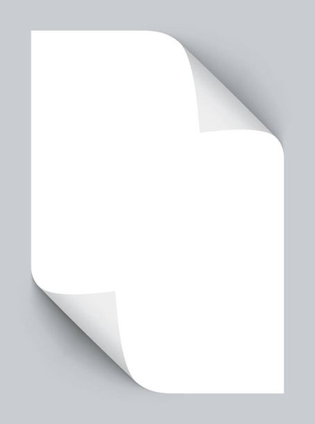 Ρεαλιστική χαρτί Α4 με κατσαρά γωνίες διάνυσμα - Διάνυσμα, εικόνα