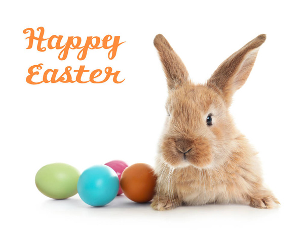 Adorable furry bunny and colorful eggs and text Happy Easter on white background - Zdjęcie, obraz