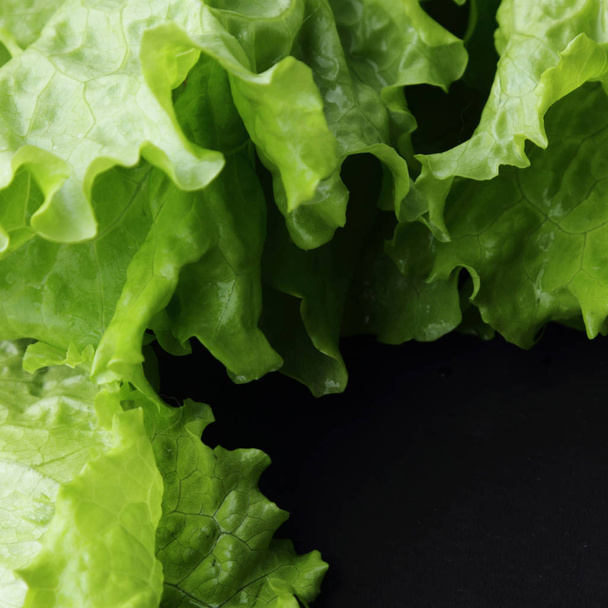 Green salad. Selected focus. - Foto, Imagem