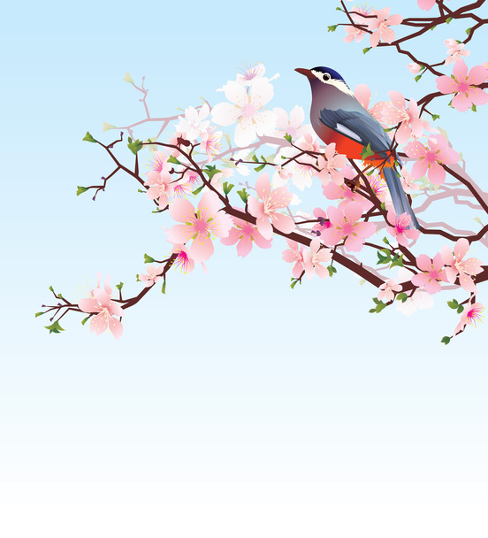 birds on the blossoming cherry detailed vector - Wektor, obraz