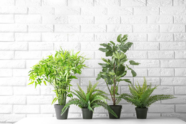 Potted plants on table near brick wall. Interior decor - Foto, imagen