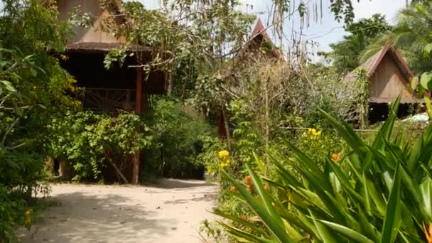 Piękne chaty w pobliżu tropikalnego drzewa. Wspaniałe chaty małej wioski położonej wokół niesamowitego tropikalnego drzewa w słoneczny dzień w dżungli. Zielone życie. egzotyczna wioska tajlandzka. życie w naturze - Materiał filmowy, wideo