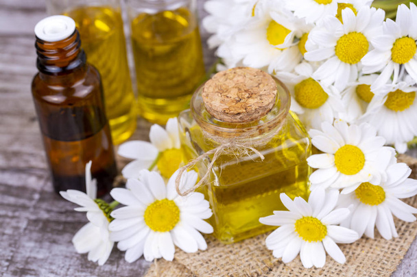 Essential oil in glass bottle with fresh chamomile flowers, beau - Photo, Image