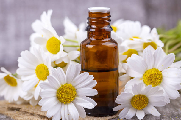Aceite esencial en botella de vidrio con flores frescas de manzanilla, beau
 - Foto, Imagen