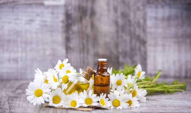 Aceite esencial en botella de vidrio con flores frescas de manzanilla, beau
 - Foto, imagen
