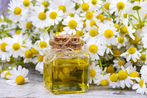 Essential oil in glass bottle with fresh chamomile flowers, beau - Foto, afbeelding