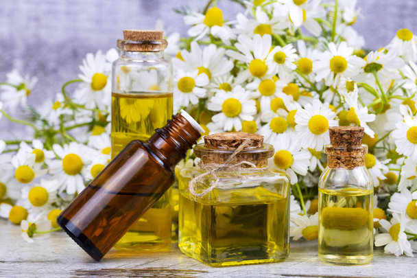 Olio essenziale in bottiglia di vetro con fiori di camomilla freschi, beau
 - Foto, immagini