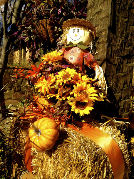 Scarecrow Harvest Decoration - Photo, Image
