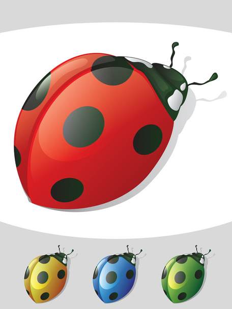 Lady Bug Isolated Objects - Vector, Image
