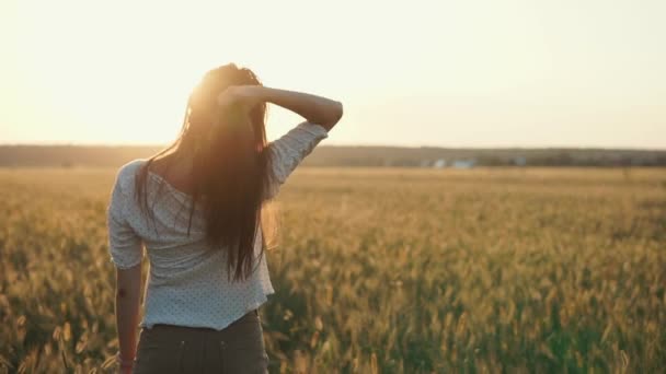 Jeune fille sensuelle regarde l'aube dans le champ à la campagne, vue de dos
 - Séquence, vidéo