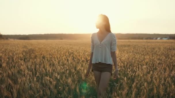 Encantadora morena delgada es caminar sola en feild de espigas de trigo en el amanecer
 - Metraje, vídeo