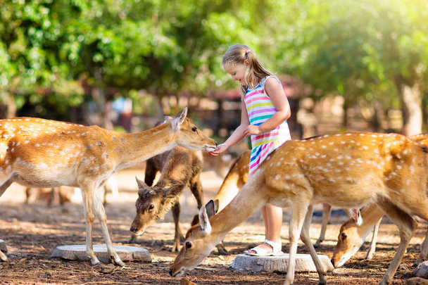 Gyermek vadon élő szarvasok etetése állatkertben. Gyerekek állatok takarmányozására. - Fotó, kép