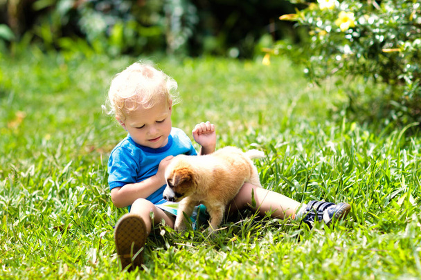 Los niños juegan con el cachorro. Niños y perros en el jardín
. - Foto, imagen