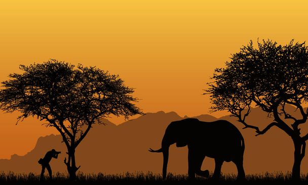 ρεαλιστική απεικόνιση ενός σιλουέτα ενός ανθρώπου φωτογράφος και ελέφαντα σε ένα αφρικανικό σαφάρι με δέντρα, βουνά κάτω από ένα πορτοκαλί ουρανό - διάνυσμα - Διάνυσμα, εικόνα
