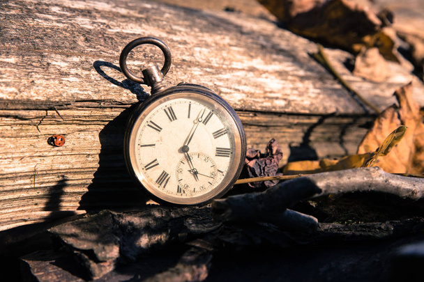 Upływu czasu: vintage zegarek na zewnątrz; drewno i liści; - Zdjęcie, obraz