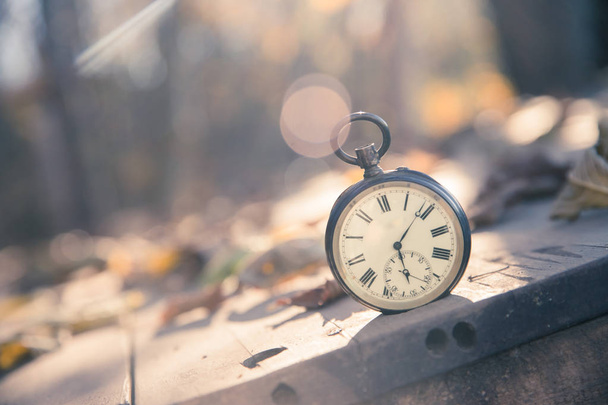 Περνάει ο καιρός: vintage ρολόι σε εξωτερικούς χώρους? ξύλο, φύλλα και ηλιοφάνεια; - Φωτογραφία, εικόνα