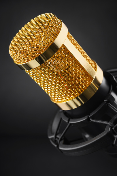 Zlatý chladič mikrofonu na černém  - Fotografie, Obrázek
