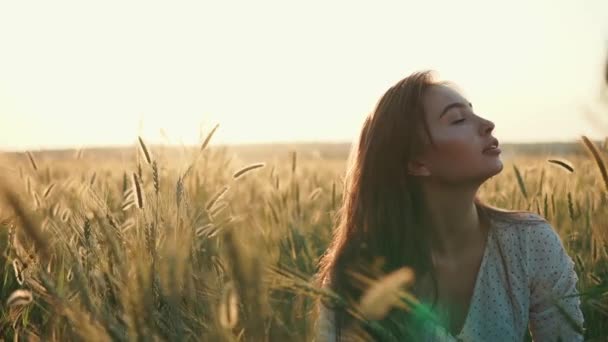 Relaxed brunette woman is sitting on field with golden rye ears in sunset - Footage, Video