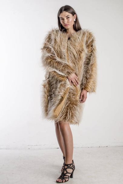 Beautiful model woman girl brunette in a fur coat - 写真・画像