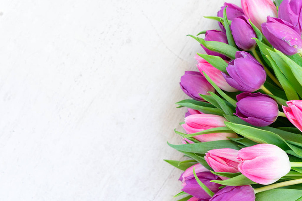 Pink fresh tulips - Valokuva, kuva