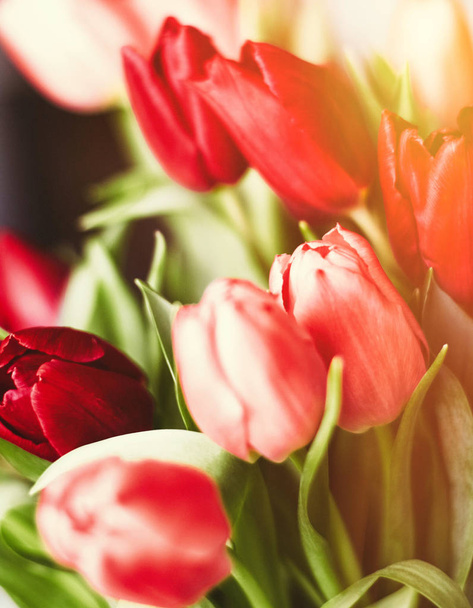 Illumina la tua giornata con i fiori
 - Foto, immagini
