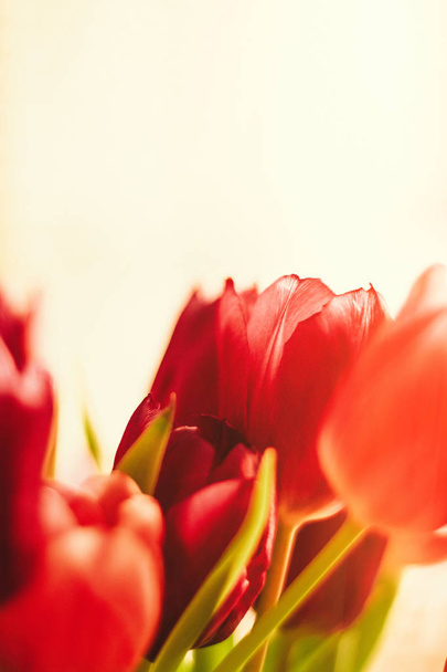 Günün çiçekler ile aydınlatmak - Fotoğraf, Görsel
