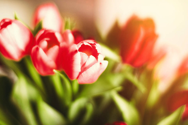 Illuminez votre journée avec des fleurs
 - Photo, image