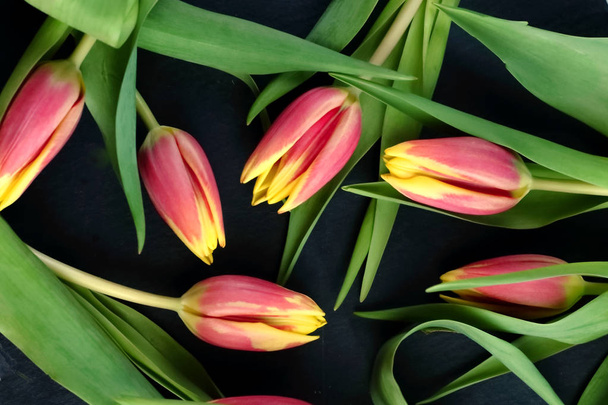 Flores vermelhas amarelas tulipas buquê com folhas verdes e caule em uma ardósia preta quadro de fundo plano leigos vista superior com espaço livre cópia para texto
 - Foto, Imagem