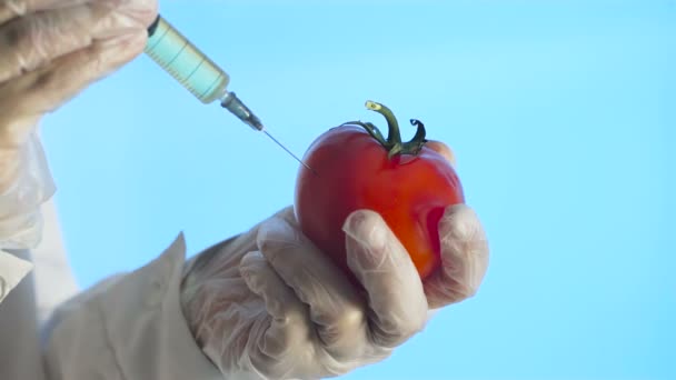 Naukowiec wstrzykuje pomidora strzykawką - Materiał filmowy, wideo