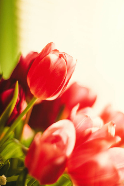 Brighten up your day with flowers - Photo, Image