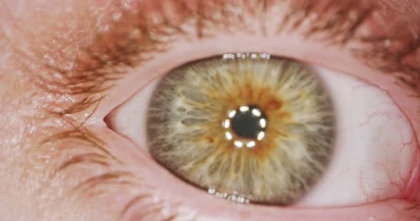 Plan macro extrême d'un œil humain brun
 - Séquence, vidéo