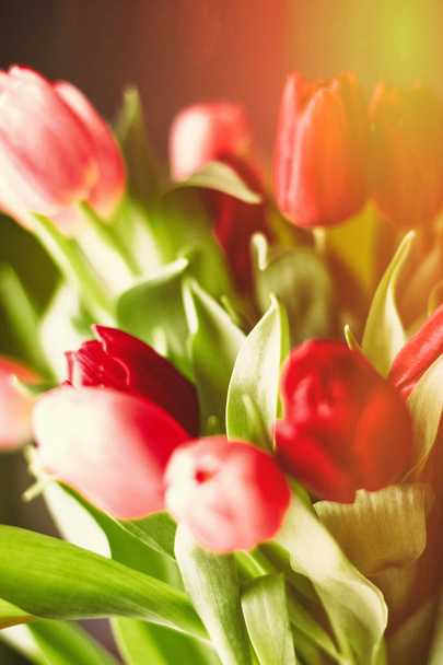 Ilumina tu día con flores
 - Foto, imagen