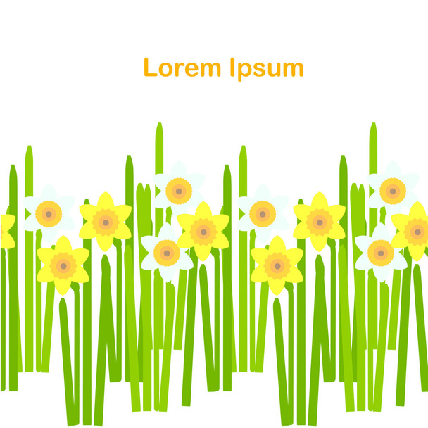 Fondo sin costuras de narciso. Flores amarillas de primavera, hojas verdes sobre fondo blanco, diseño de primavera, Lorem ipsum. Diseño plano elemento stock vector ilustración para web, para imprimir
 - Vector, Imagen