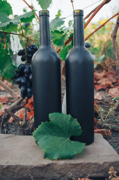 Una botella de vino negro está en el suelo junto a las uvas, las hojas verdes y una vid. campo, producto natural
 - Foto, Imagen