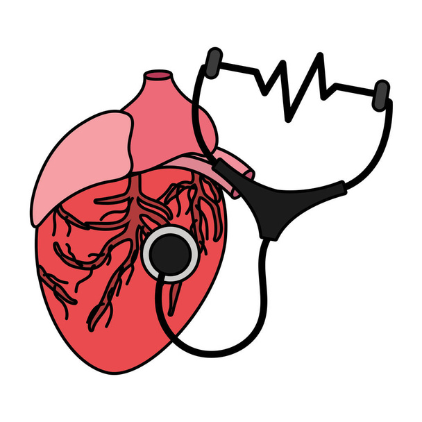 ιατρική και υγειονομική περίθαλψη ανθρώπινη ανατομία καρδιάς με στηθοσκόπιο διάνυσμα καρτούν εικονογράφηση γραφικού σχεδιασμού - Διάνυσμα, εικόνα