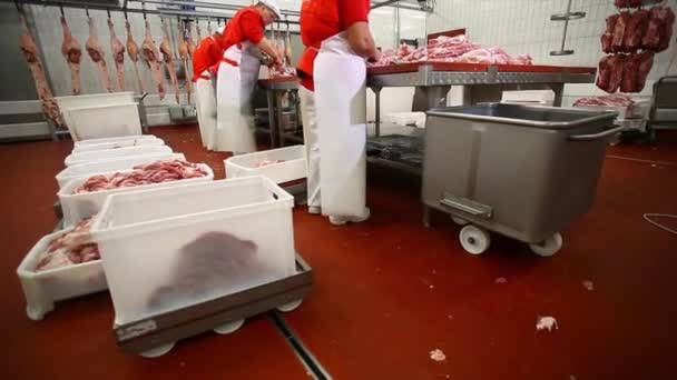 Butcher carving pork carcasses on cutting table.  - Footage, Video