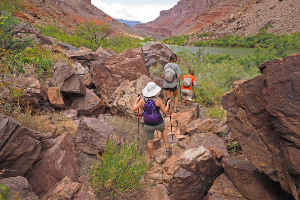 Escursionisti su un sentiero lungo il fiume Colorado nel Grand Canyon
. - Foto, immagini