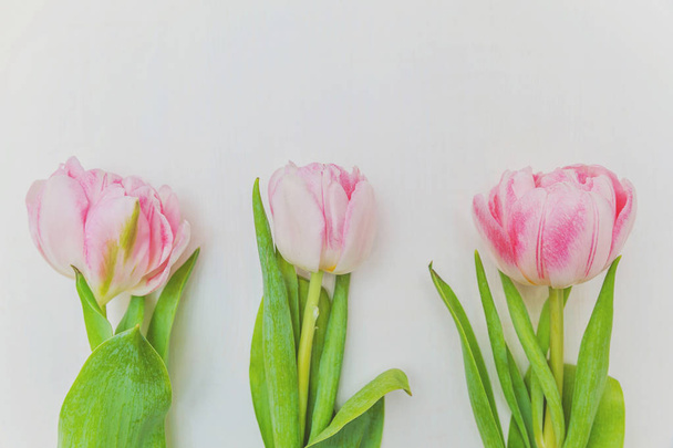 Bouquet of fresh pink tulips flowers on rustic white wooden background - Foto, Bild